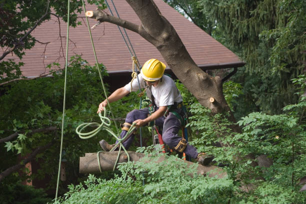 Lawn Irrigation Installation and Maintenance in Pine Lake Park, NJ